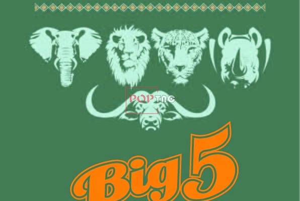 卡通动物字母图案印花服装裁片T恤卫衣烫图印花花型素材