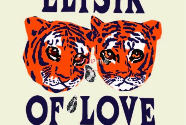 潮牌GUCCI二只老虎印花图案服装裁片T恤卫衣烫图印花花型素材