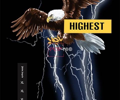 Palm Angels美式元素白头鹰&闪电印花图案服装裁片T恤卫衣烫图印花花型素材