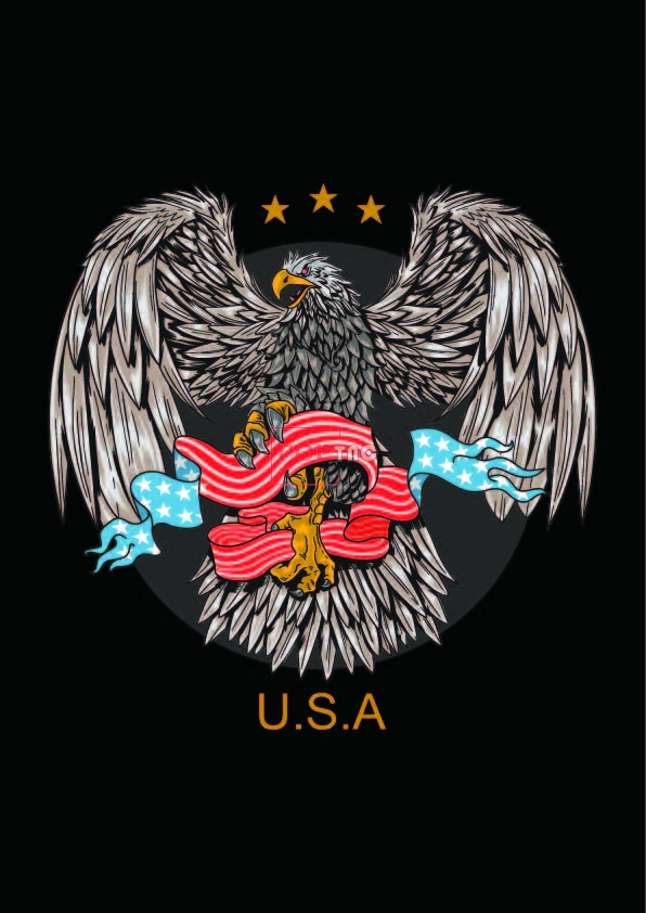动物老鹰美国国旗字母印花图案服装裁片t恤卫衣烫图印花花型素材