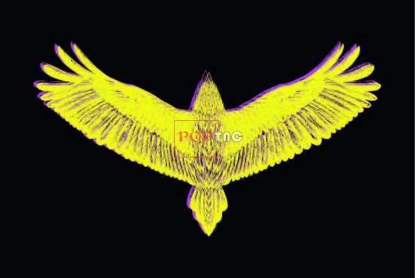 动物图案金色老鹰印花图案服装裁片T恤卫衣烫图印花花型素材