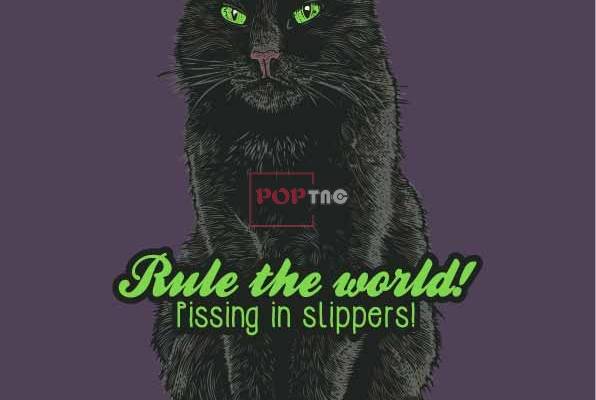 动物猫咪字母印花图案服装裁片T恤卫衣烫图印花花型素材