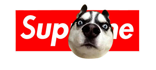 哈士奇潮牌字母Supreme印花图案服装裁片T恤卫衣烫图印花花型素材