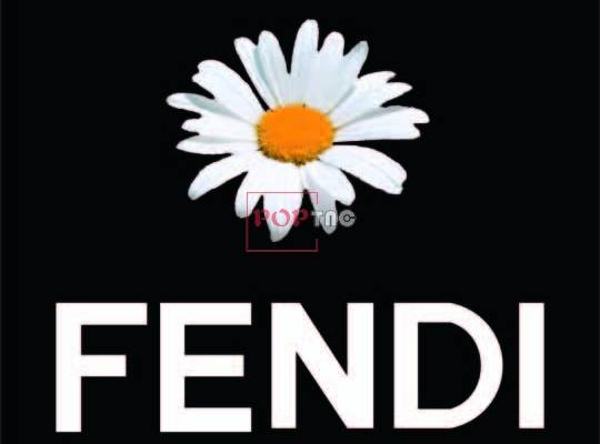 字母Fendi潮牌图案小邹菊印花服装裁片T恤卫衣烫图印花花型素材