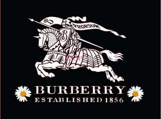 潮牌BURBERRY字母logo小邹菊印花图案服装裁片T恤卫衣烫图印花花型素材