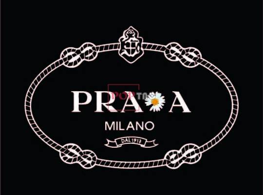 潮牌PRADA字母logo小邹菊印花图案服装裁片T恤卫衣烫图印花花型素材