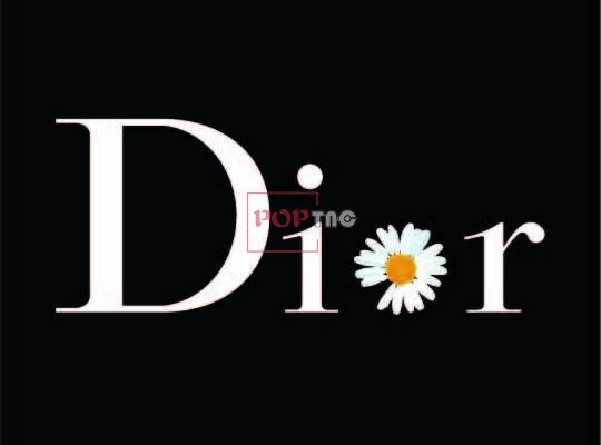 潮牌Dior字母logo小邹菊印花图案服装裁片T恤卫衣烫图印花花型素材