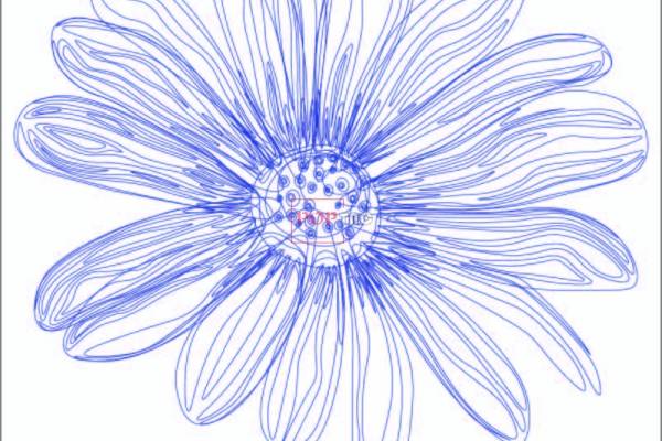 潮牌小邹菊印花图案服装裁片T恤卫衣烫图印花花型素材