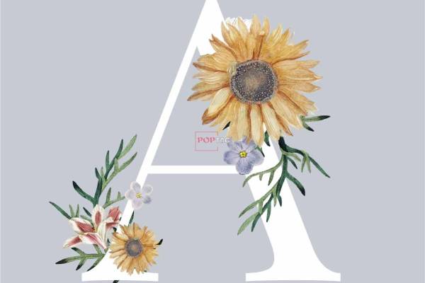 字母图案A小邹菊印花图案服装裁片T恤卫衣烫图印花花型素材