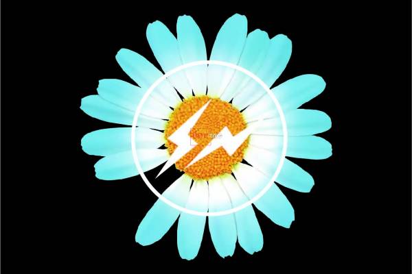 潮牌小邹菊闪电印花图案服装裁片T恤卫衣烫图印花花型素材