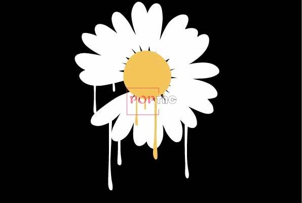 潮牌小邹菊字母印花图案服装裁片T恤卫衣烫图印花花型素材