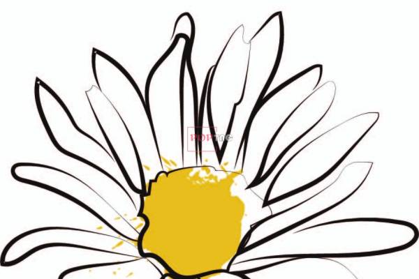 潮牌小邹菊字母印花图案服装裁片T恤卫衣烫图印花花型素材