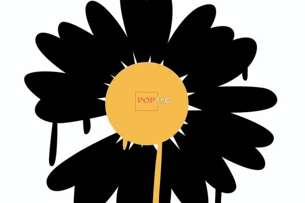 潮牌小邹菊字母印花图案服装裁片T恤卫衣烫图印花花型素材