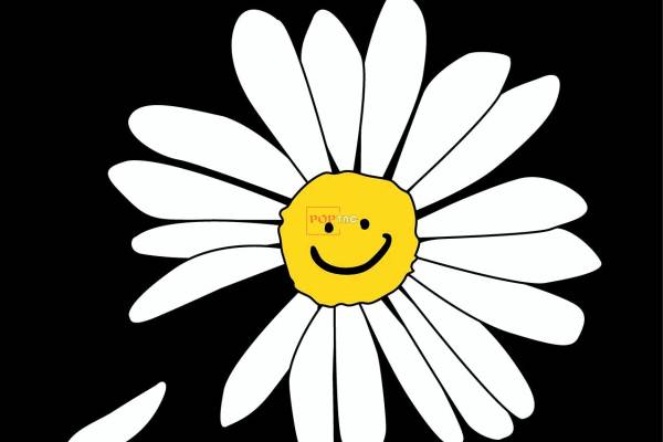 潮牌小邹菊印花图案服装裁片T恤卫衣烫图印花花型素材