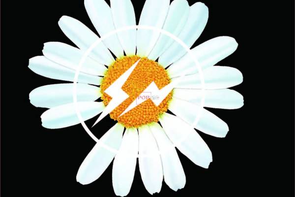 潮牌小邹菊闪电印花图案服装裁片T恤卫衣烫图印花花型素材