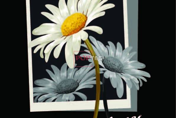 潮牌小邹菊字母印花图案服装裁片T恤卫衣烫图印花花型素材