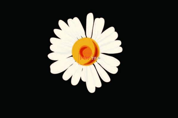 潮牌小邹菊印花图案服装裁片T恤卫衣烫图印花花型素材