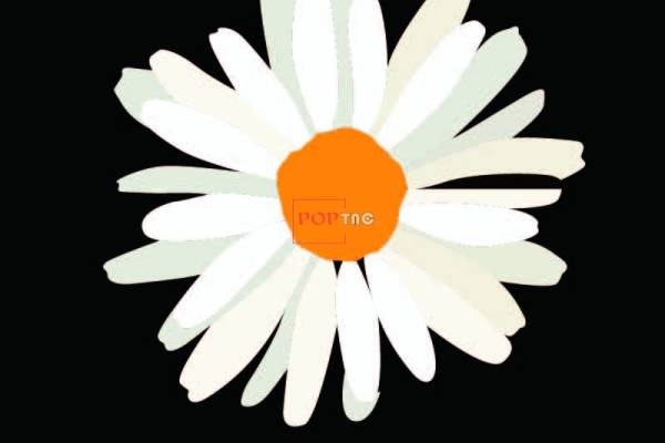 潮牌小邹菊印花图案服装裁片T恤卫衣烫图印花花型素材