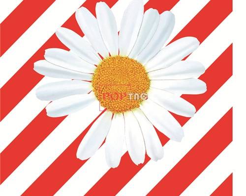 植物花朵小邹菊字母印花图案服装裁片T恤卫衣烫图印花花型素材