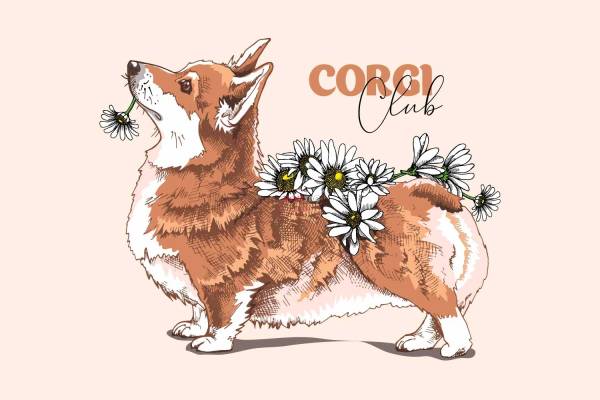 动物柯基小邹菊字母印花图案服装裁片T恤卫衣烫图印花花型素材