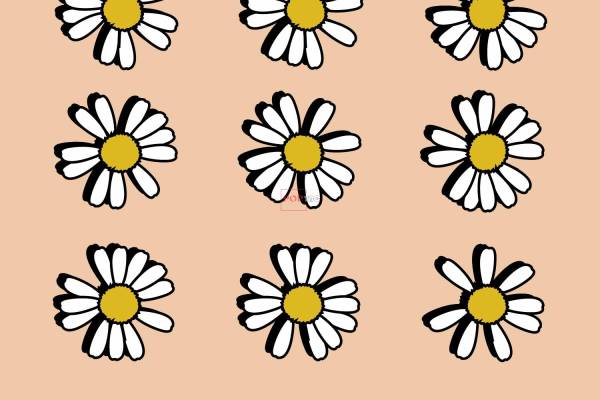 小邹菊拼接字母印花图案服装裁片T恤卫衣烫图印花花型素材