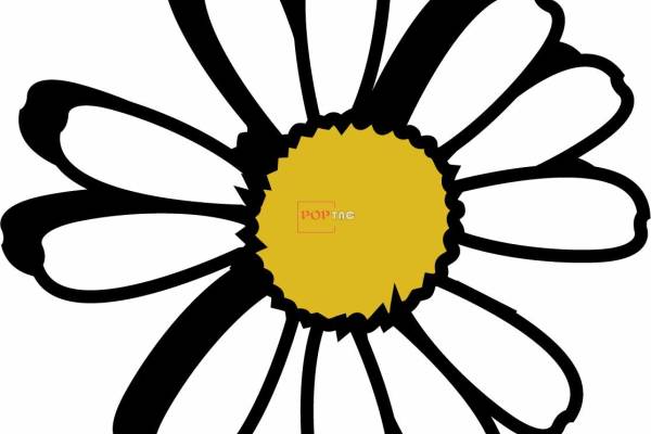 植物小雏菊印花图案服装裁片T恤卫衣烫图印花花型素材