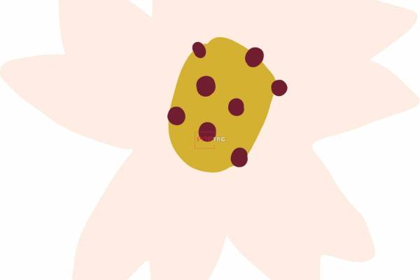 植物小雏菊印花图案服装裁片T恤卫衣烫图印花花型素材