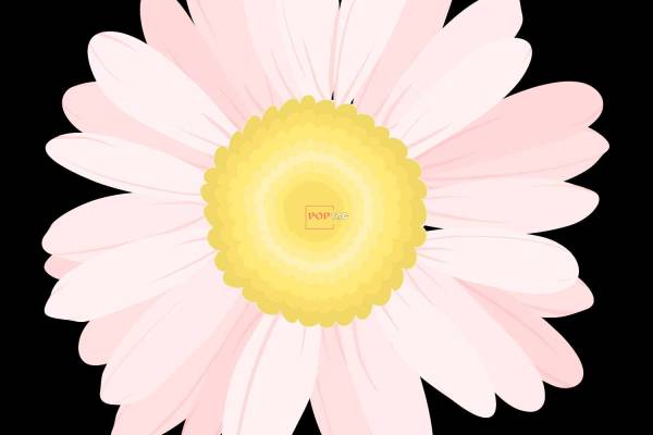 植物小雏菊印花图案服装裁片T恤卫衣烫图印花花型素材