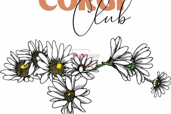 植物小雏菊字母印花图案服装裁片T恤卫衣烫图印花花型素材