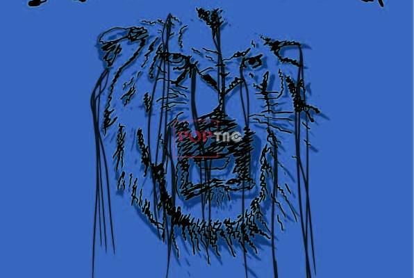 字母图案老虎印花服装裁片T恤卫衣烫图印花花型素材