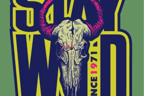 字母图案骷髅印花服装裁片T恤卫衣烫图印花花型素材