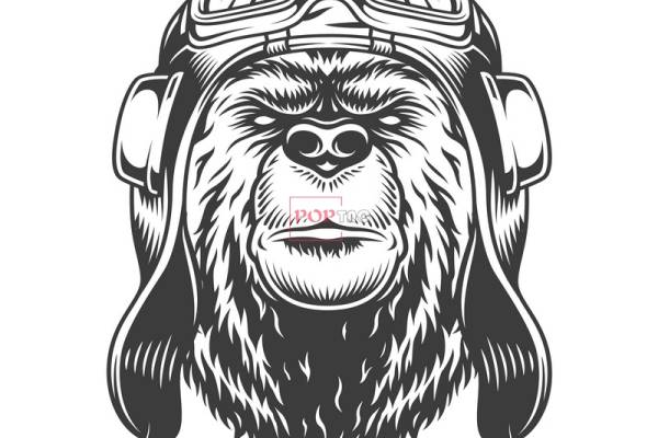 卡通动物飞行员印花图案服装裁片T恤卫衣烫图印花花型素材