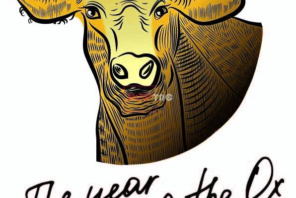 卡通动物牛字母印花图案服装裁片T恤卫衣烫图印花花型素材