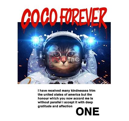 太空人猫咪字母印花图案服装裁片T恤卫衣烫图印花花型素材