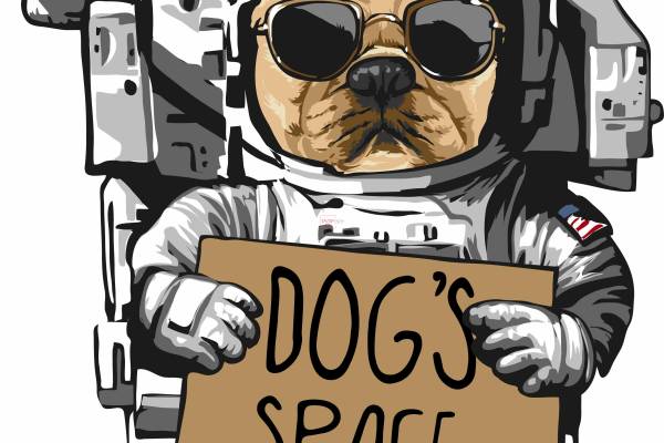 太空人小狗字母印花图案服装裁片T恤卫衣烫图印花花型素材