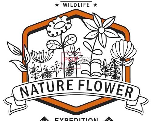 植物花朵字母印花图案服装裁片T恤卫衣烫图印花花型素材