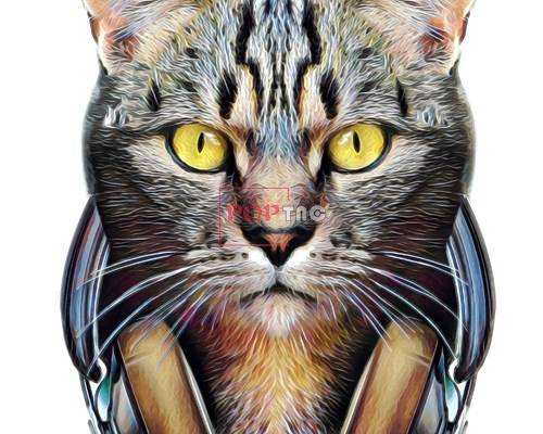 动物猫咪耳机印花图案服装裁片T恤卫衣烫图印花花型素材