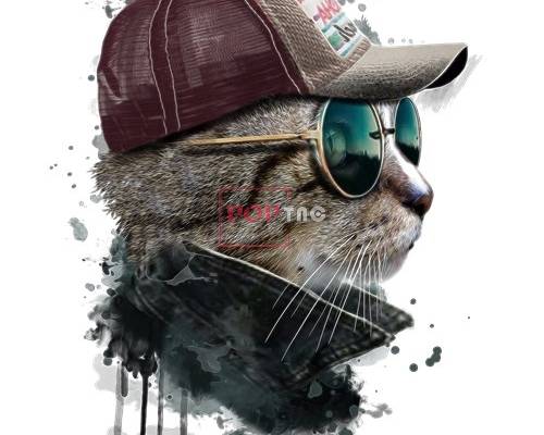 动物猫咪太阳帽印花图案服装裁片T恤卫衣烫图印花花型素材