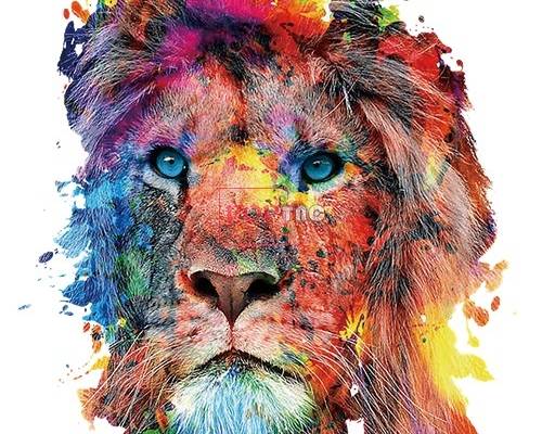 多彩动物狮子印花图案服装裁片T恤卫衣烫图印花花型素材