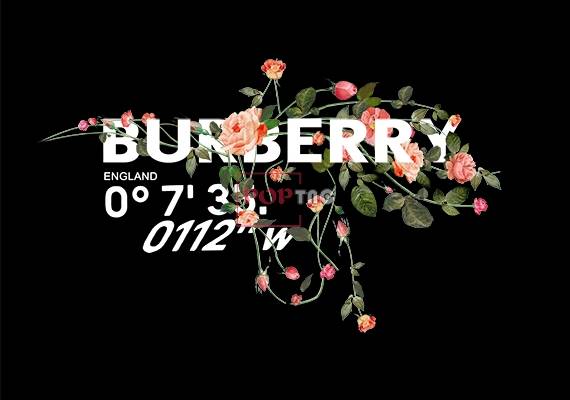 潮牌字母Burberry玫瑰花朵印花图案服装裁片T恤卫衣烫图印花花型素材