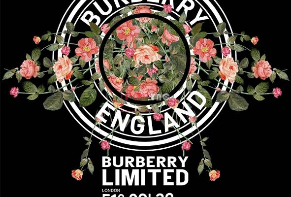 潮牌BURBERRY植物玫瑰花印花图案服装裁片T恤卫衣烫图印花花型素材