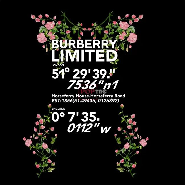 潮牌BURBERRY植物玫瑰花印花图案服装裁片T恤卫衣烫图印花花型素材
