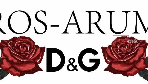 植物玫瑰花字母印花图案服装裁片T恤卫衣烫图印花花型素材