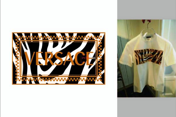 潮牌VERSACE范思哲斑马纹印花图案服装裁片T恤卫衣烫图印花花型素材