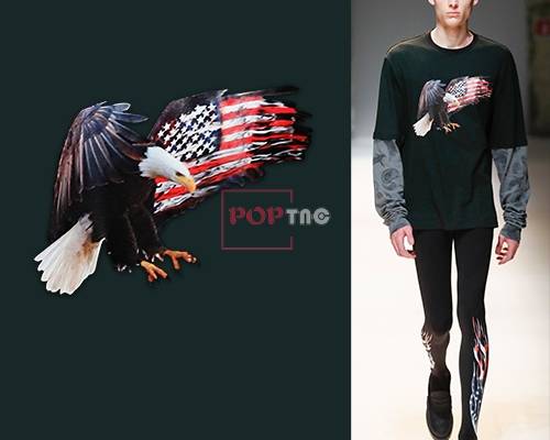 动物白头鹰美国国旗字母印花图案服装裁片T恤卫衣烫图印花花型素材