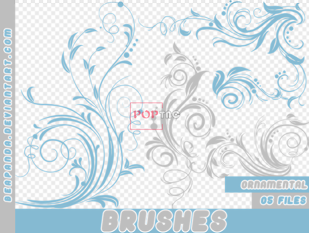 brushes8.com-2021-08-12-08-52-01-88