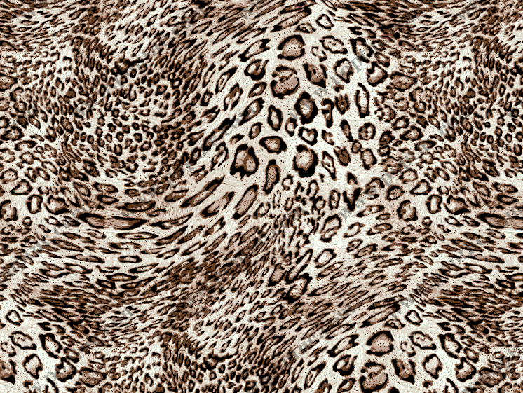 1630145076-d18d95b122490b3 1630145076-d18d95b122490b3