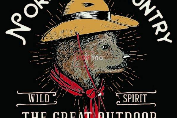 卡通动物狐狸字母印花图案服装裁片T恤卫衣烫图印花花型素材