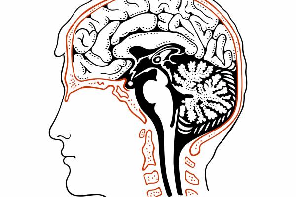 人物头像大脑印花图案服装裁片T恤卫衣烫图印花花型素材