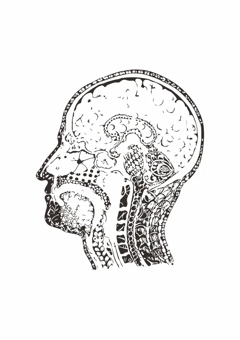 人物头像大脑印花图案服装裁片T恤卫衣烫图印花花型素材